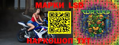 гидропоника Новозыбков