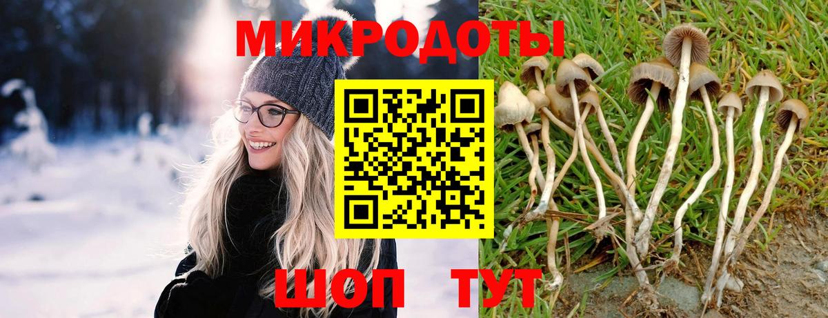 Татарск  Галлюциногенные грибы Psilocybe  Вход с VPN 
