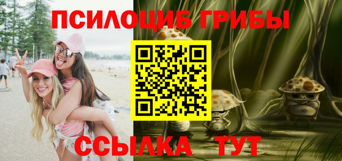 Галлюциногенные грибы Psilocybe Татарск